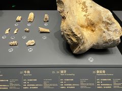 -贵州省博物馆(新馆)