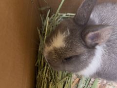 -龙猫仔乐园(惠福东路店)