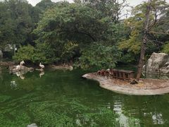 -昆明动物园