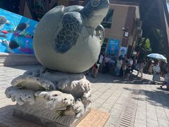 -广东惠东海龟国家级自然保护区