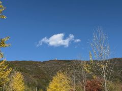-北京十三陵国家森林公园蟒山景区