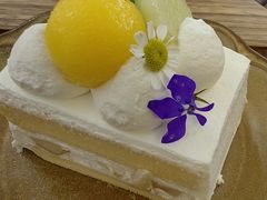 -Kekimatata 生日蛋糕·烘焙教学