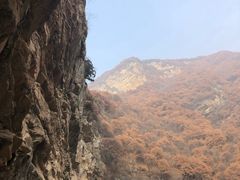 -少华山国家森林公园