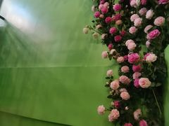 -肖仙仙羊肉汤·始于1996年(郫都店)