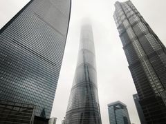 -上海柏悦酒店·世纪100牛排馆