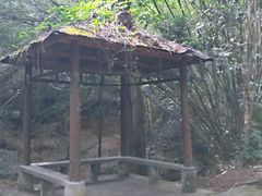 -滴水岩森林公园