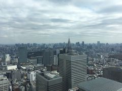 -东京都厅舍
