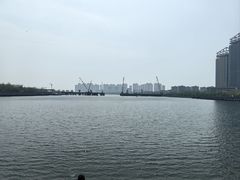 -海河外滩公园