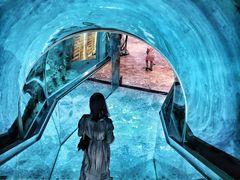 -瑞德姆美人鱼海底演艺主题餐厅(亚龙湾店)