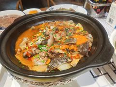 砂锅甲鱼-湘水谣(芙蓉店)