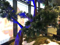 -绿茶餐厅(成都大悦城店)