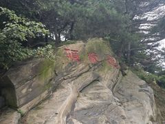 -沂蒙山旅游区龟蒙景区
