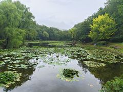 -棒棰岛宾馆景区