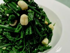 凉拌青菜苗-全聚德(蓝山店)