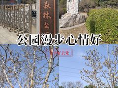 -云岗森林公园