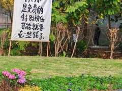 -丹樱生态园