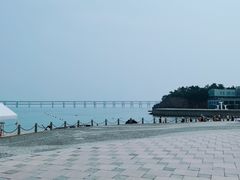 -星海湾跨海大桥