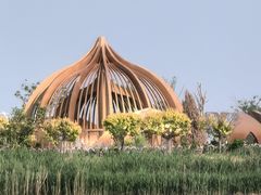 -南大港湿地风景区