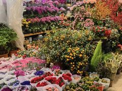 -双季花艺园艺市场(浦东店)