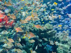 -成都浩海立方海洋公园