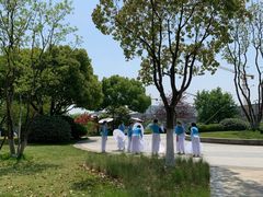 -羊山湖公园