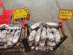 -蚝专家(北滘店)