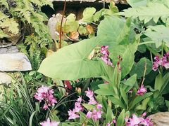 -国家植物园南园