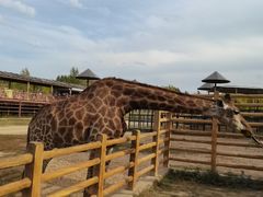 -鄂尔多斯野生动物园