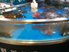 -盒马鲜生(杭州运河上街店)