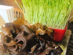 -番食园鲜食火锅(高新店)