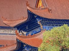 -南海禅寺