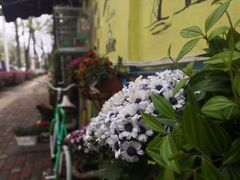 -Rabbit Cafe私房西餐甜点咖啡(栖霞路店)