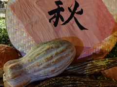 -恋乡太行水镇