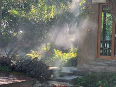 -Chom Cafe and Restaurant