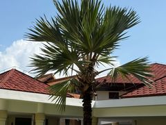 -三亚海棠湾万丽度假酒店