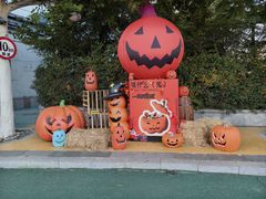 -青岛方特梦幻王国