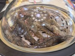 -王潮活海鲜自助·蒸汽海鲜