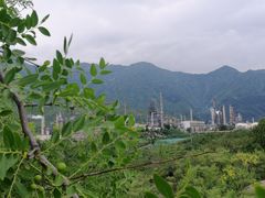 -白水寺森林公园