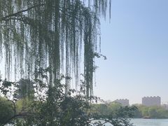 -济南大明湖景区