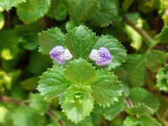 -北京植物园-展览温室