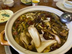 -杨记山珍鸡煲菌汤锅