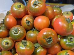 -77号渔船·蒸海鲜青岛菜(积米崖店)