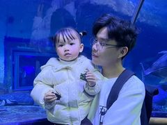 -厦门海底世界