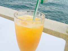 -越海渔村