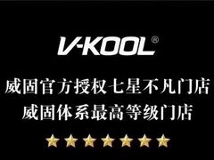 -威固7V汽车贴膜改色·净界(广州旗舰店)