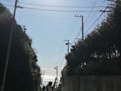 -灌篮高手动画打卡地