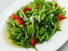 -谢氏农家