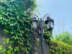 -广州市帽峰山景区