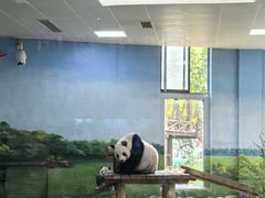 -临沂动植物园
