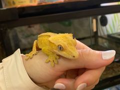 -藦茜花园宠物主题亲子互动体验馆(国顺东路店)